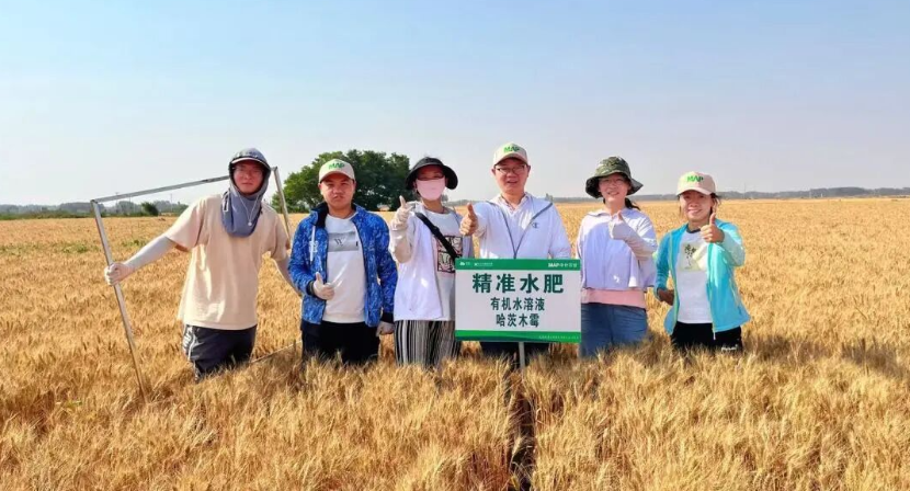 十余年追问&ldquo;促根&rdquo;机理，他们解开木霉与植物的共生密码