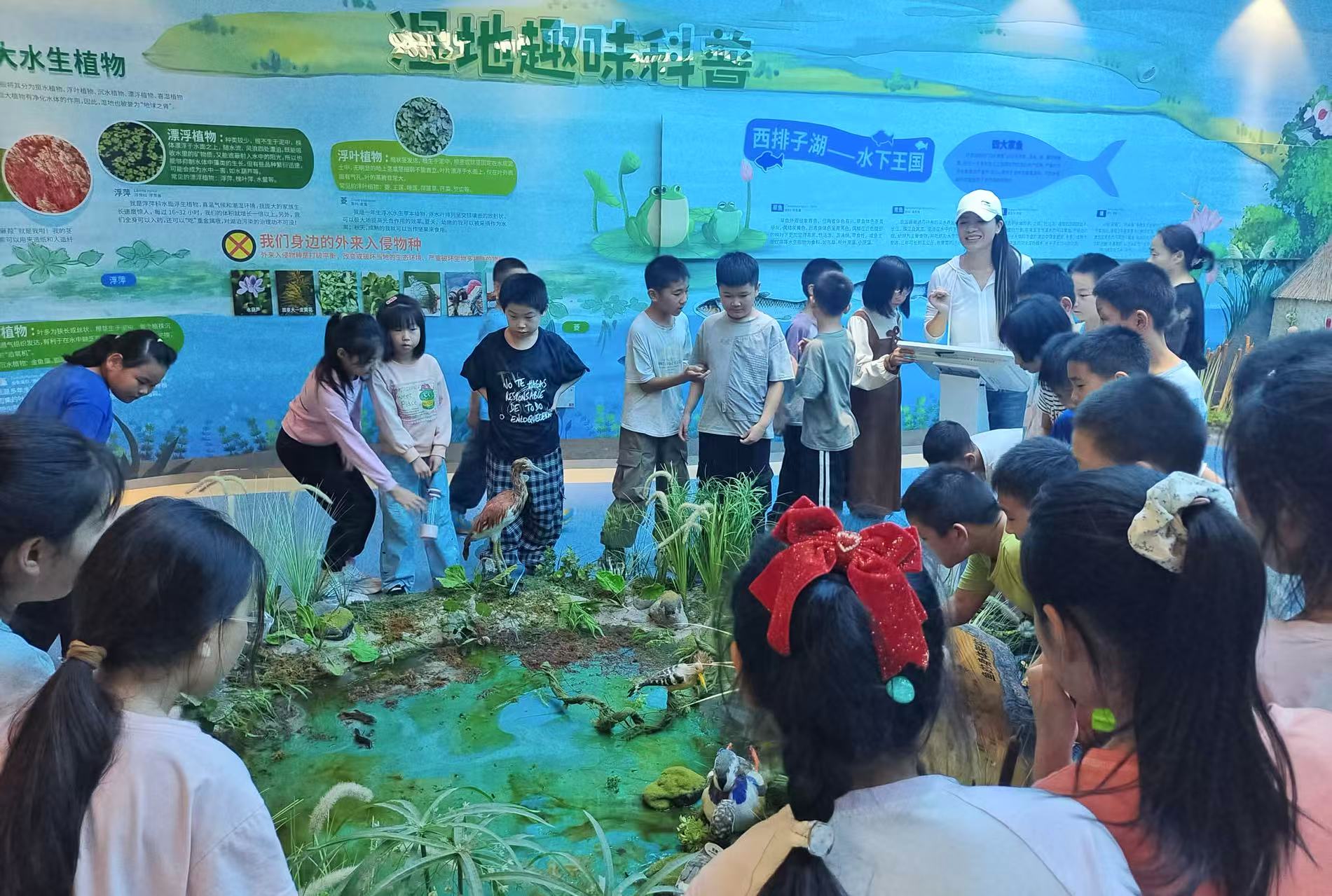 老河口市全国科普月活动走进西排子湖国家湿地公园
